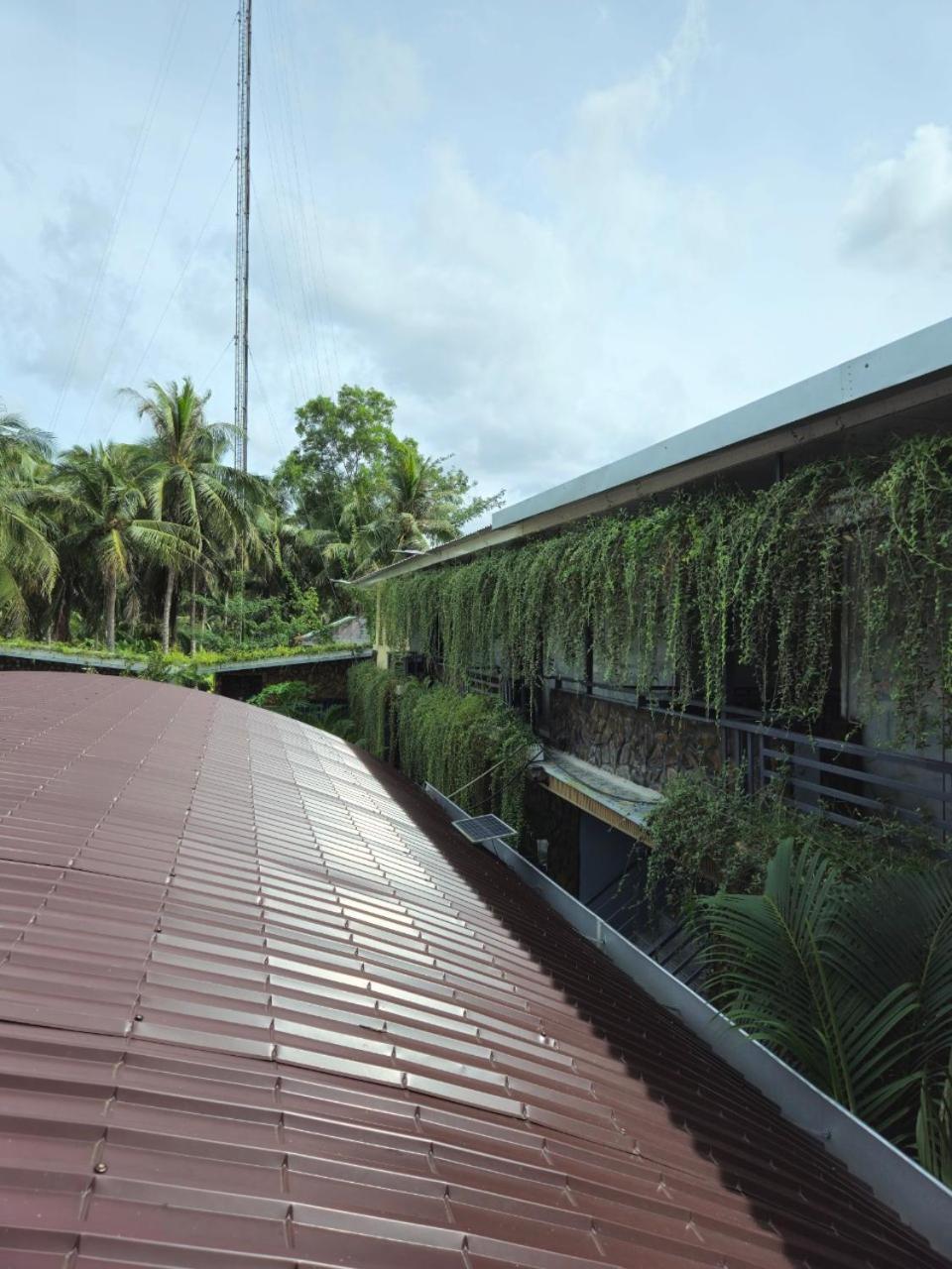 Homestay Bao Binh Ben Tre Eksteriør bilde