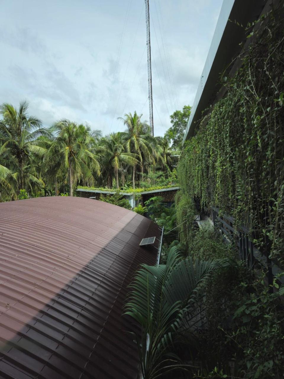 Homestay Bao Binh Ben Tre Eksteriør bilde