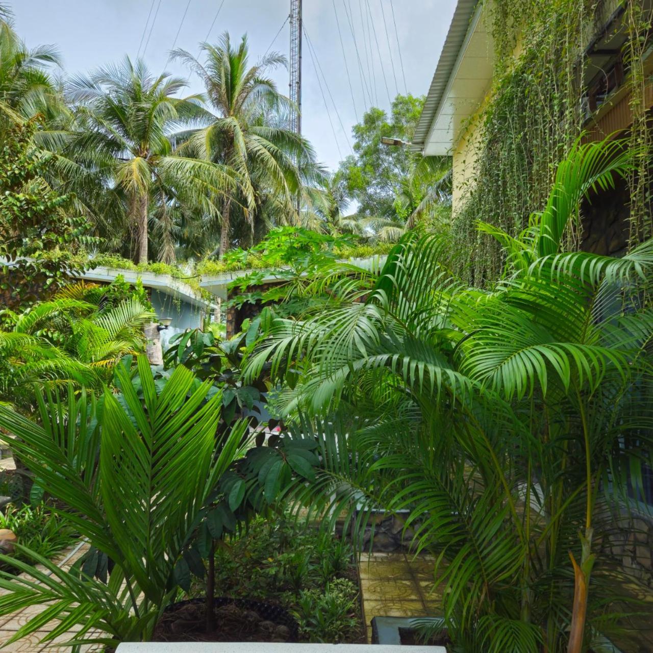 Homestay Bao Binh Ben Tre Eksteriør bilde