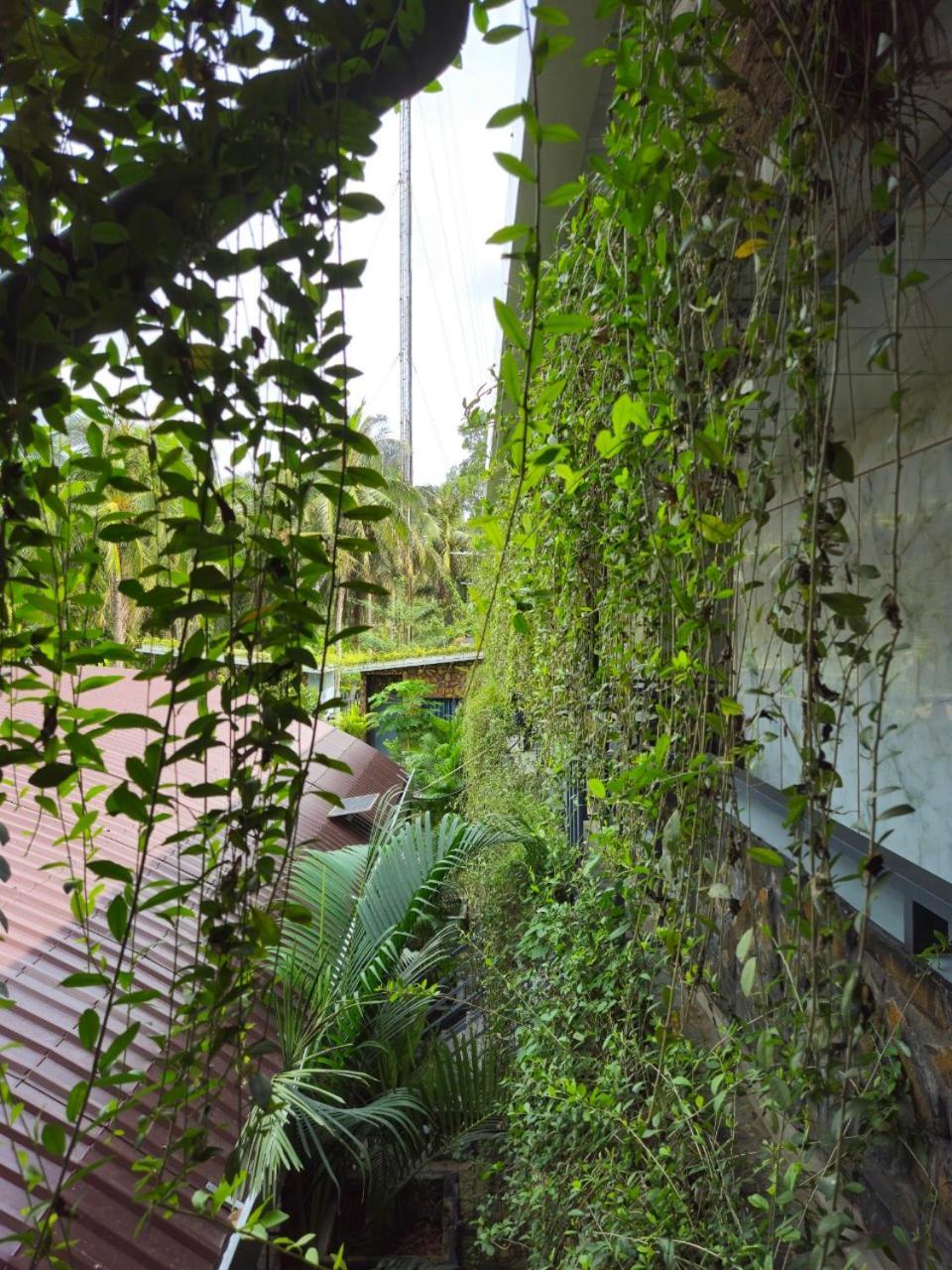 Homestay Bao Binh Ben Tre Eksteriør bilde