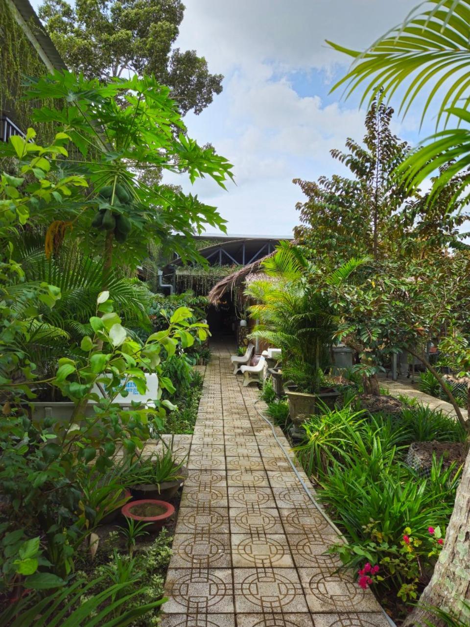 Homestay Bao Binh Ben Tre Eksteriør bilde